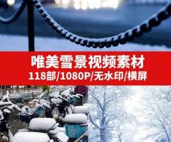 唯美雪景风景视频素材-