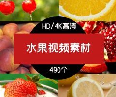 水果视频素材