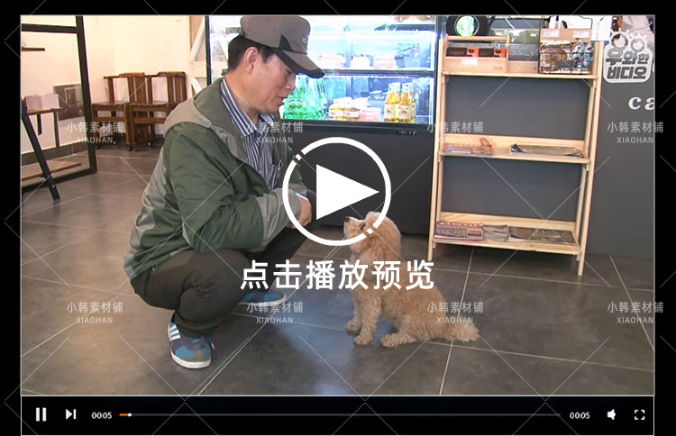 SBS韩国版走近科学纪录片天啊,这到底是什么动物中视频自媒体素材插图5