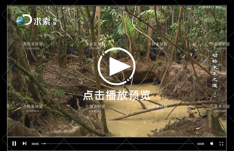 探索频道生命探索纪录片动物求生之道中视频自媒体解说视频素材插图6