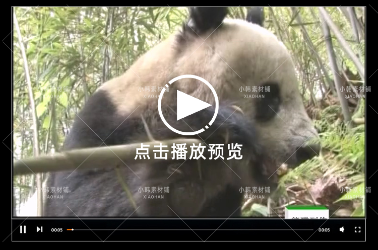 野生动物保护纪录片熊猫列传全10集中视频自媒体解说高清视频素材插图6