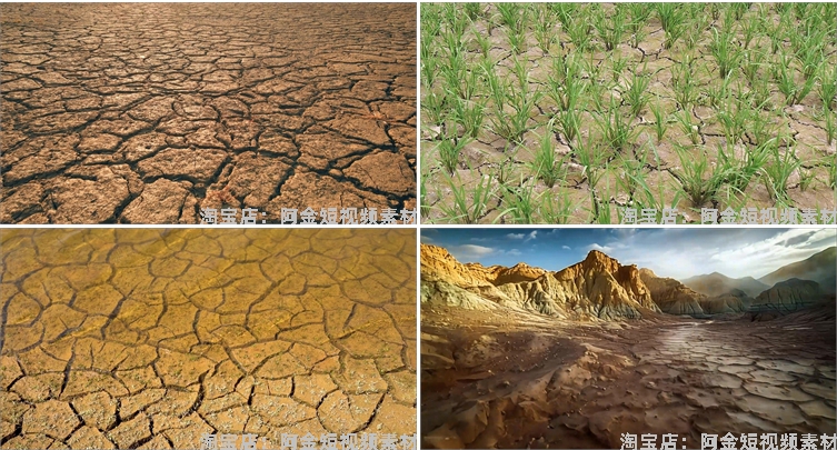 干旱干枯旱灾土地裂纹灾害气候抖音短视频自媒体高清实拍素材剪辑插图7