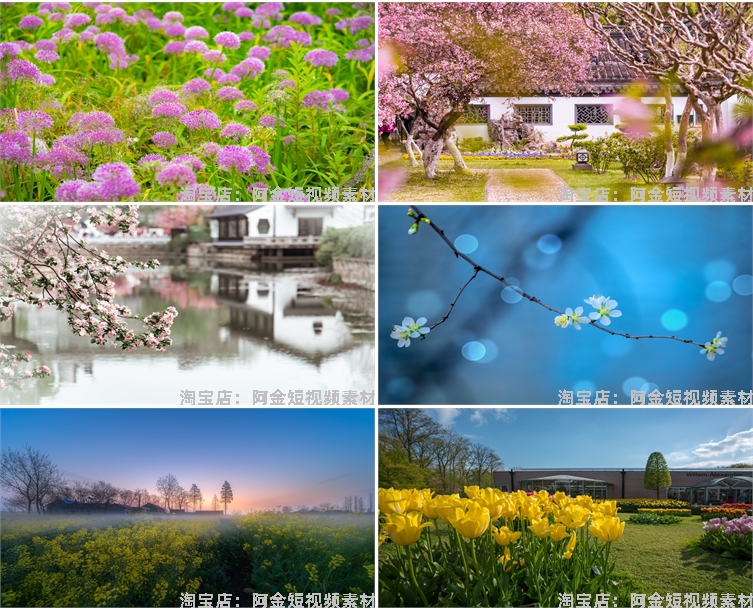 花海花田花朵花丛jpg风景高清抖音绿幕虚拟直播间led背景图片素材插图6