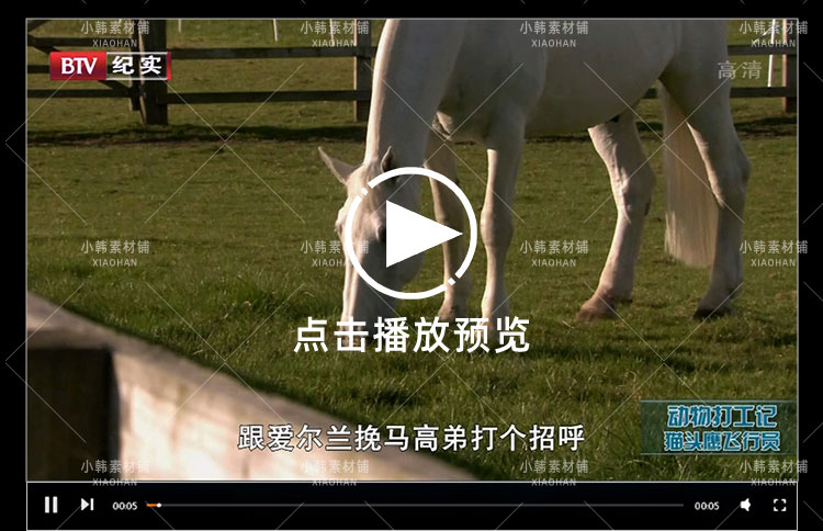 动物趣闻纪录片动物打工记全2季中视频自媒体解说高清视频素材插图6