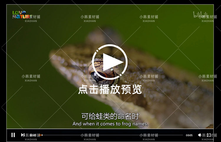 非洲野生动物纪录片野性风标1-2季中视频自媒体解说高清视频素材插图6