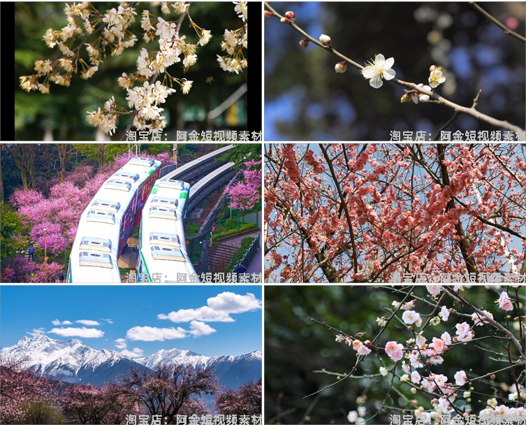 唯美浪漫桃花春暖花开乡村风景素材高清旅游自然治愈系短视频背景插图7
