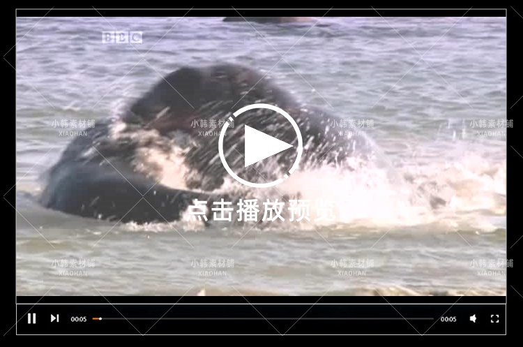 BBC儿童教育纪录片少儿动物世界全4季中视频自媒体解说视频素材插图7