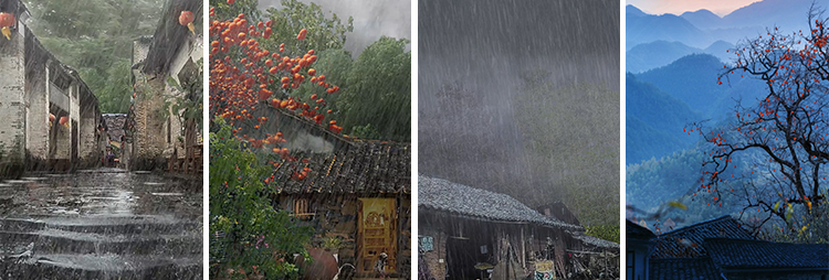 竖版竖屏唯美下雨雪景清新自然风景治愈系美景色直播背景视频素材插图5