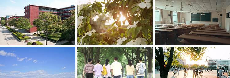 校园青春毕业季图书馆大学校内环境操场教室空镜头实拍短视频素材插图5