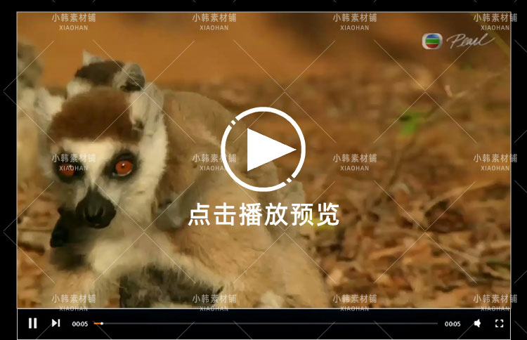 BBC动物探索纪录片猴子大观全3集中视频自媒体解说高清视频素材插图4