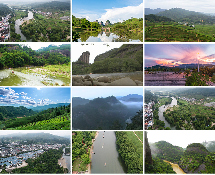 航拍福建武夷山茶园九曲溪竹筏云雾天游峰风光景观地标短视频素材插图5