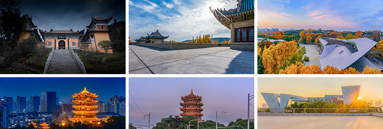 湖北武汉旅游风景城市建筑夜景风光长江大桥摄影抖音图片设计素材插图5