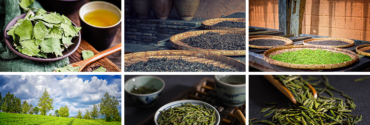 中国茶文化茶道茶叶洗茶艺喝茶品茶沏茶泡茶意境禅意抖音图片素材插图5