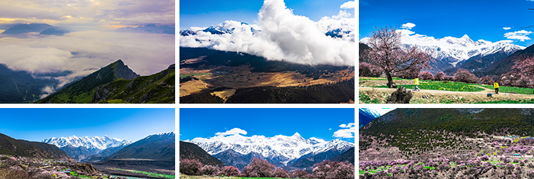 西藏林芝风光桃花节波密桃花沟藏族村落风景旅游景点高清视频素材插图5
