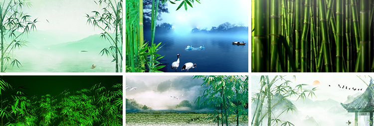 竹林竹子绿竹水墨山水古风苗族山歌傣族舞蹈舞台LED背景视频素材插图5