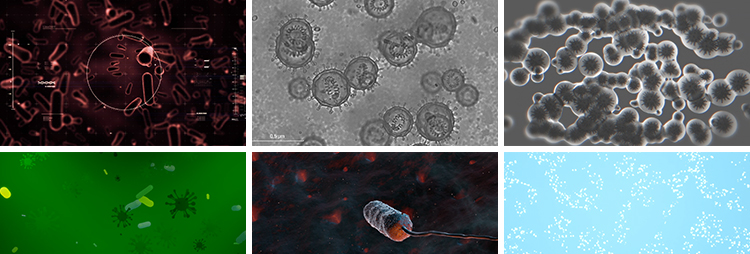 病毒细菌病菌感染细胞微生物医学传染疾病传播寄生虫高清视频素材插图5