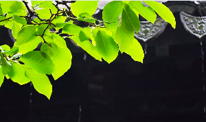 雨天屋檐滴雨下雨视频素材